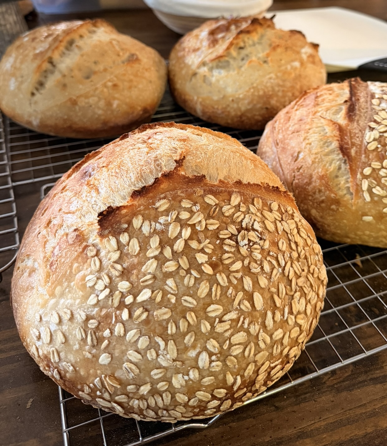 Honey Oat artisan sourdough